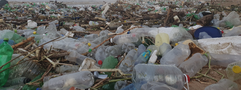 Plastic pollution