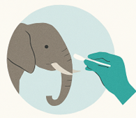 DNA_barcoding DNA_barcoding